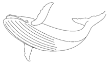 Disegno 2 Balene