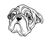 Disegno 5 Cani