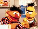 Categoria Bert and Ernie