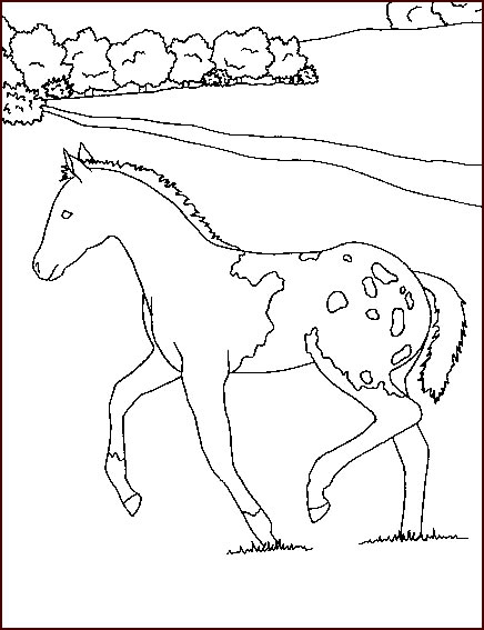 Disegno 134 Cavalli