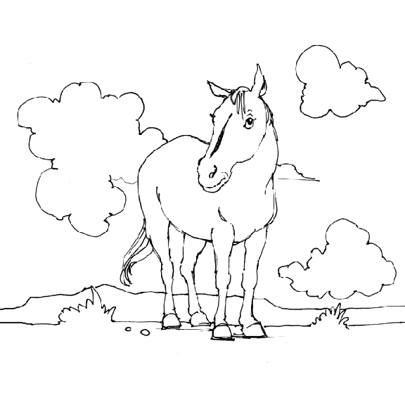 Disegno 5 Cavalli