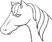 Disegno 1 Cavalli