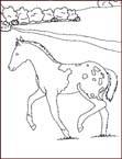 Disegno 134 Cavalli