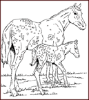 Disegno 39 Cavalli