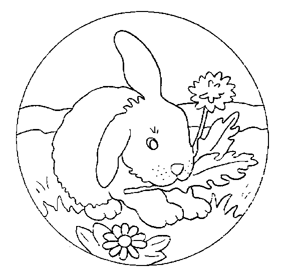 Disegno 19 Conigli