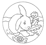 Disegno 19 Conigli