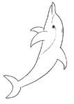Disegno 18 Delfini