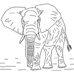 Disegno 6 Elefanti