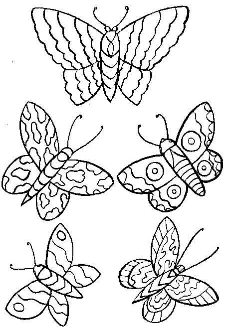 Disegno 118 Farfalle