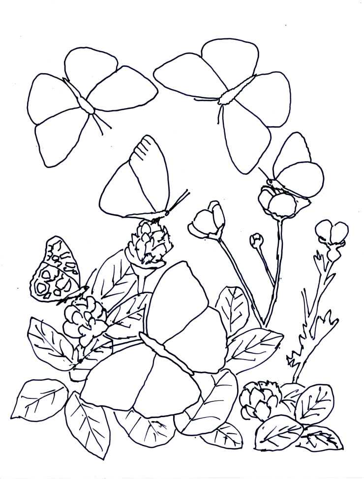 Disegno 124 Farfalle