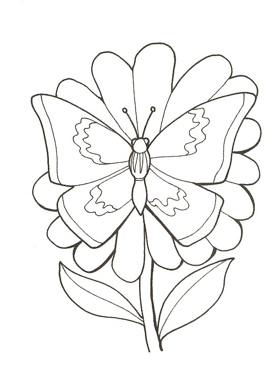Disegno 14 Farfalle