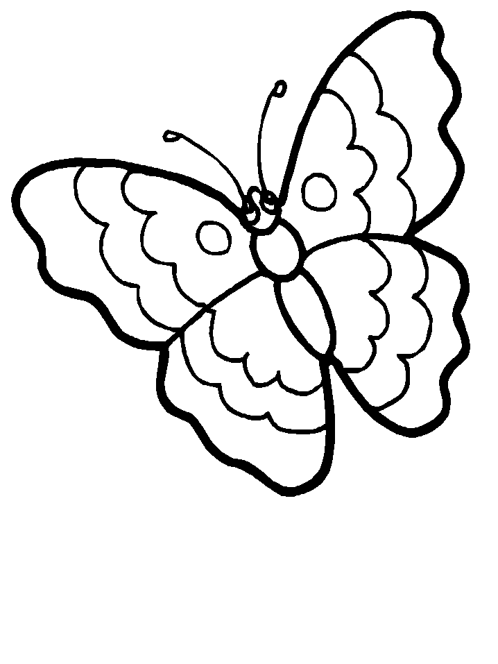 Disegno 144 Farfalle