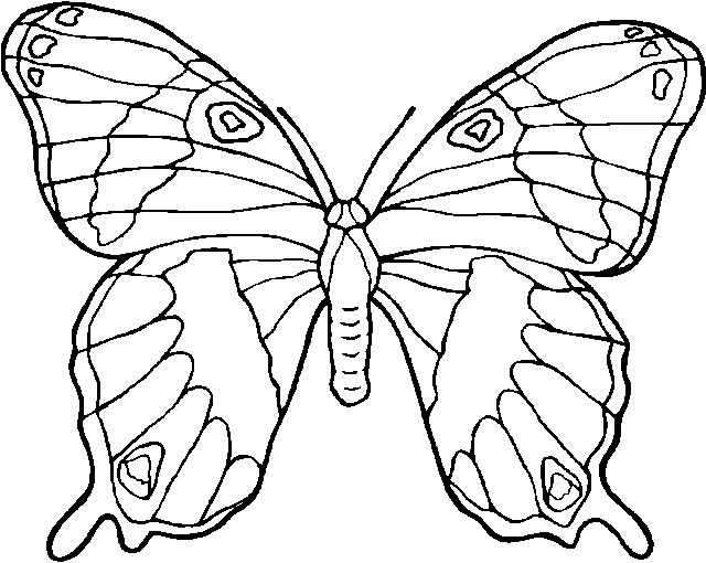 Disegno 55 Farfalle