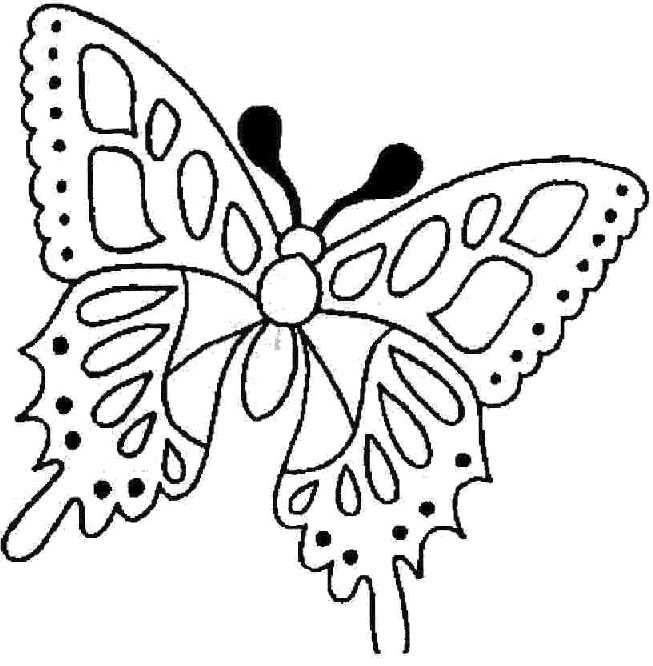 Disegno 57 Farfalle
