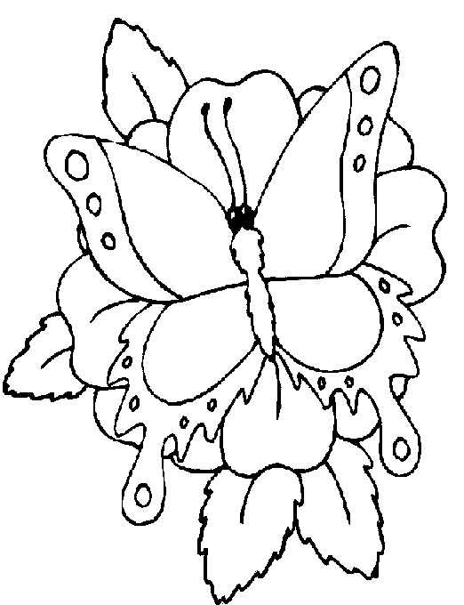 Disegno 76 Farfalle