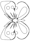 Disegno 100 Farfalle