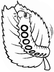 Disegno 108 Farfalle