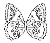 Disegno 110 Farfalle