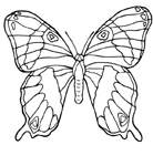 Disegno 111 Farfalle