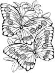Disegno 119 Farfalle
