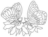 Disegno 121 Farfalle