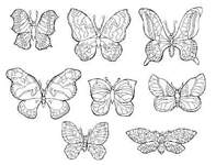 Disegno 122 Farfalle
