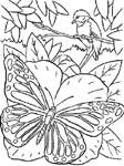 Disegno 128 Farfalle