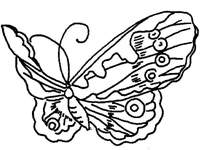 Disegno 133 Farfalle