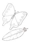 Disegno 137 Farfalle