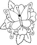 Disegno 141 Farfalle