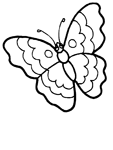 Disegno 144 Farfalle