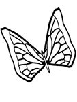 Disegno 145 Farfalle