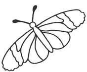 Disegno 38 Farfalle