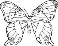 Disegno 97 Farfalle