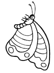 Disegno 98 Farfalle