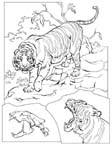 Disegno 17 Felini tigri leoni