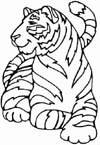 Disegno 18 Felini tigri leoni