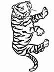 Disegno 21 Felini tigri leoni