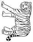 Disegno 44 Felini tigri leoni