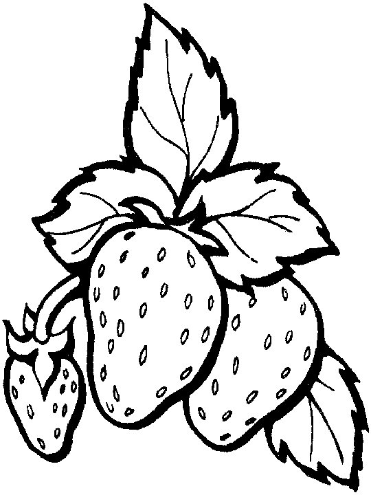 Disegno 26 Frutta verdura