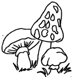 Disegno 17 Funghi