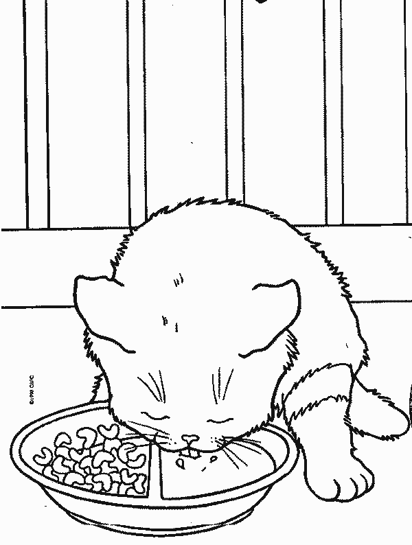 Disegno 2 Gatti