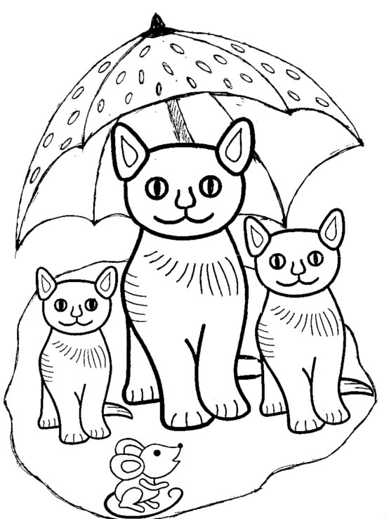 Disegno 30 Gatti