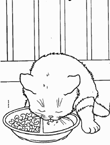 Disegno 2 Gatti