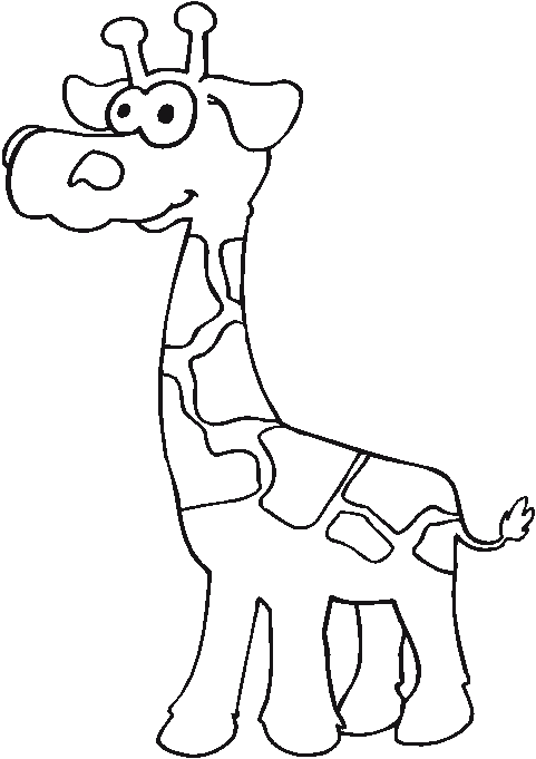 Disegno 12 Giraffe