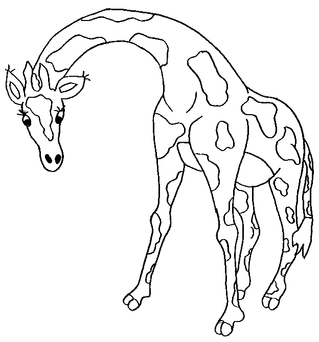 Disegno 5 Giraffe