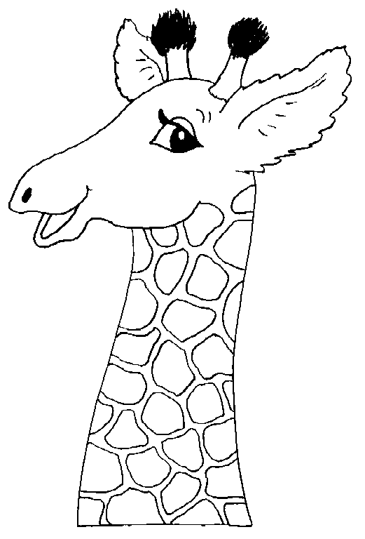 Disegno 8 Giraffe