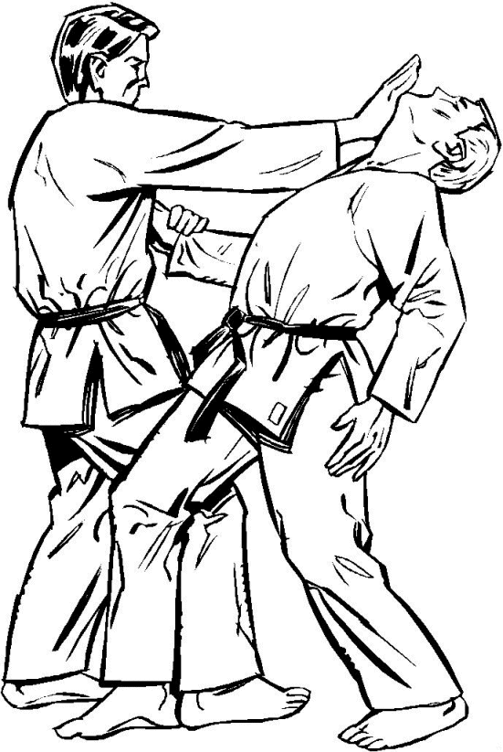 Disegno 19 Judo