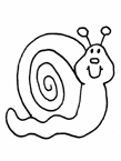 Disegno 3 Lumache