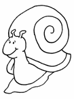 Disegno 4 Lumache